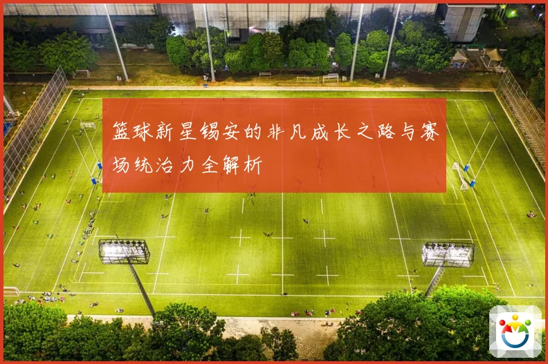 篮球新星锡安的非凡成长之路与赛场统治力全解析