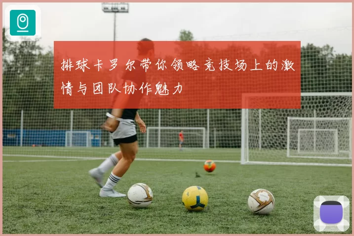 排球卡罗尔带你领略竞技场上的激情与团队协作魅力