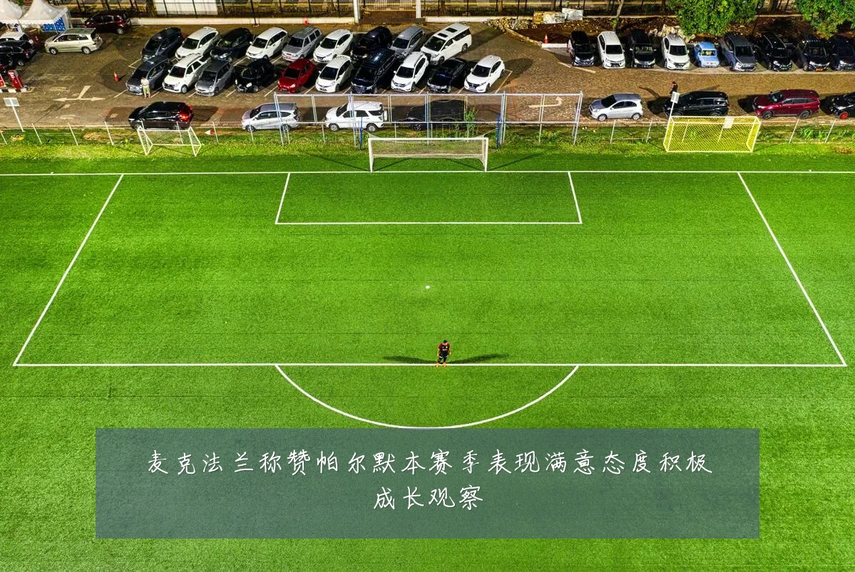 麦克法兰称赞帕尔默本赛季表现满意态度积极成长观察
