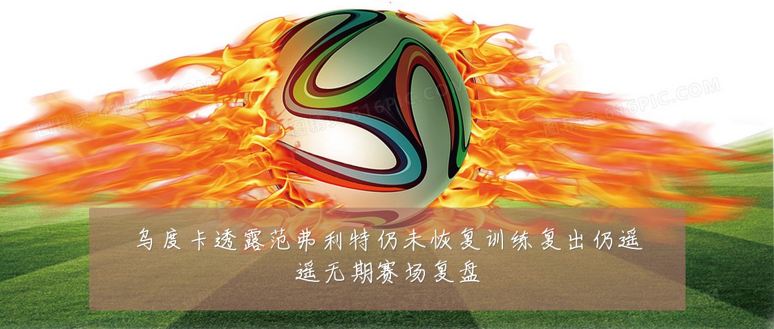 乌度卡透露范弗利特仍未恢复训练复出仍遥遥无期赛场复盘